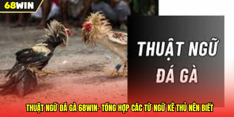 Thuật Ngữ Đá Gà 68WIN- Tổng Hợp Các Từ Ngữ Kê Thủ Nên Biết